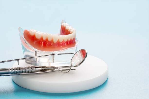 Best Preventive Dentistry  in Avon Lake, OH